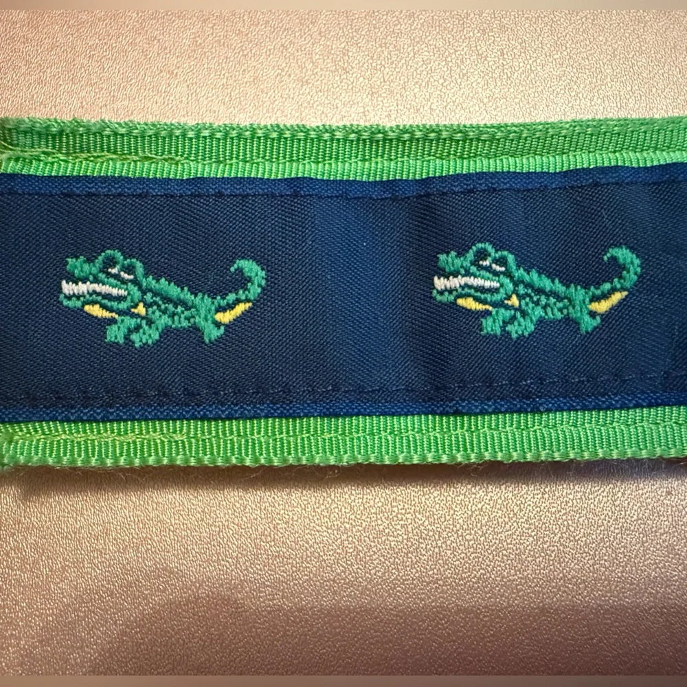 Della Divine- Kids Alligator 🐊 Embroidery Ribbon D-Ring Belt, 25 In. Navy/Green